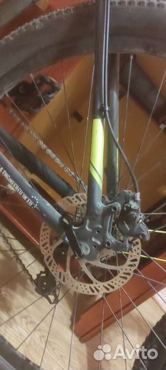 Велосипед welt ridre 1.0 HD 29 (2021)