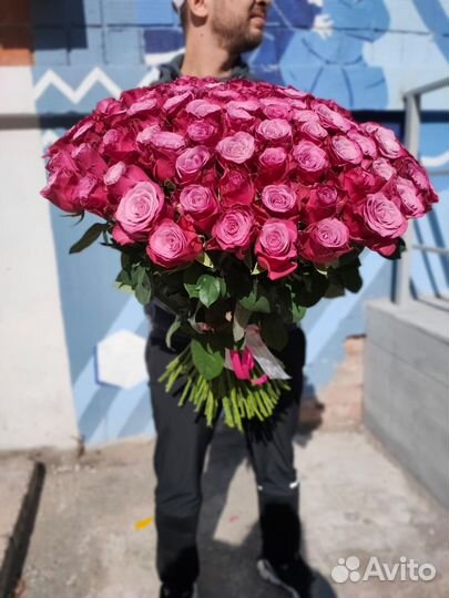 101 роза премиум