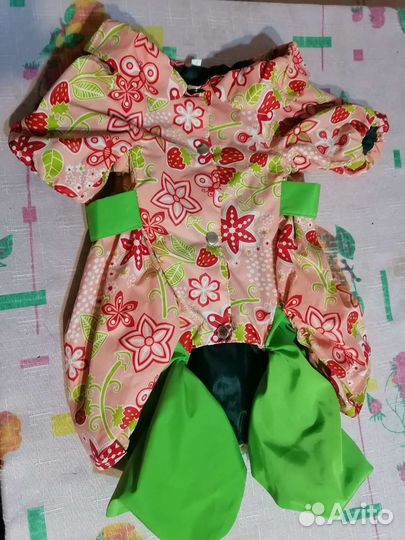 Одежда для собак