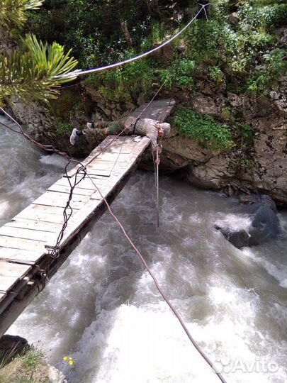 Гидролог, Эколог