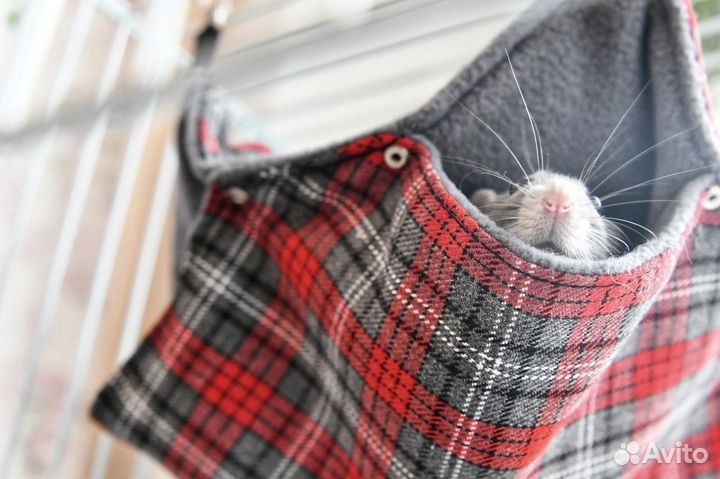 Гамак для крыс