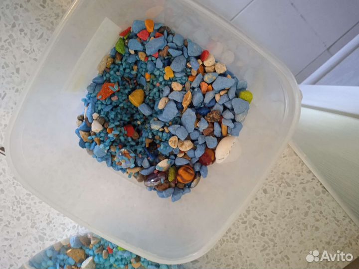 Аквариум для петушка