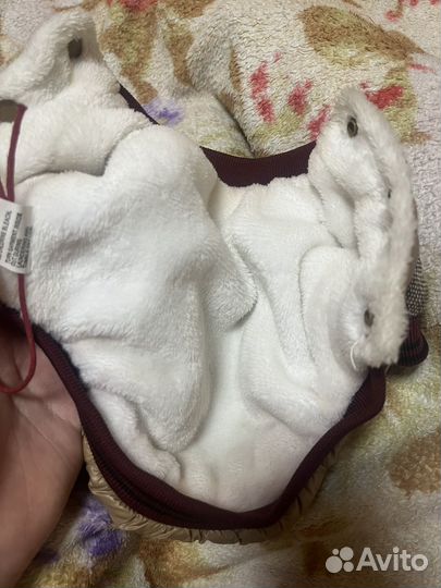 Одежда для собак