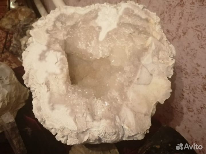 Аммониты Горный хрусталь Септарии Окаменелости