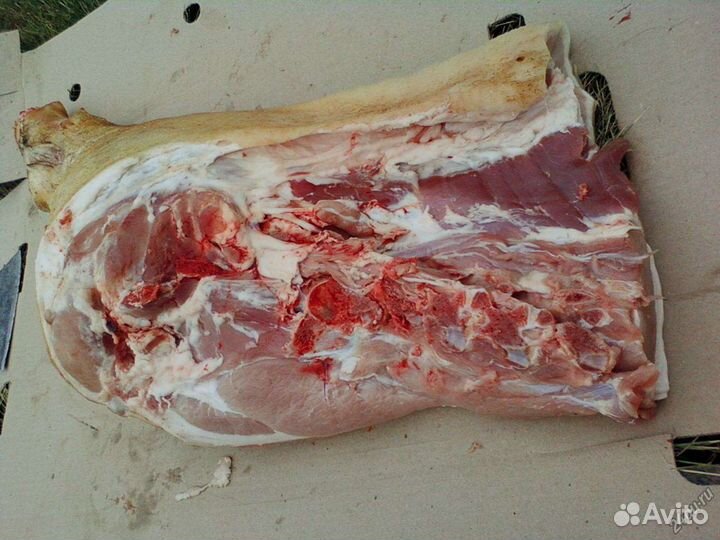 Мясо Свинина