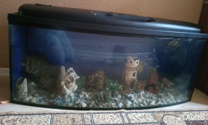 Аквариум на 250 лт