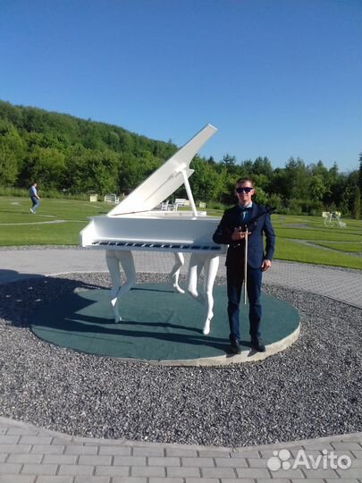 Живая музыка (скрипка ) на праздник