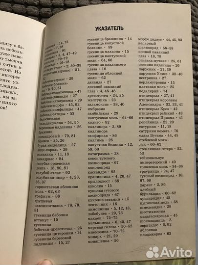 Бабочки. Автор Дунаев Ю. А.школьный путеводитель