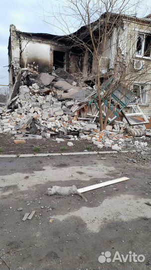 Потерявшие все котики