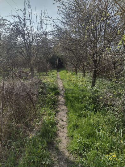 Дом 77,1 м² на участке 6,4 сот.