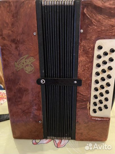 Гармонь кубань