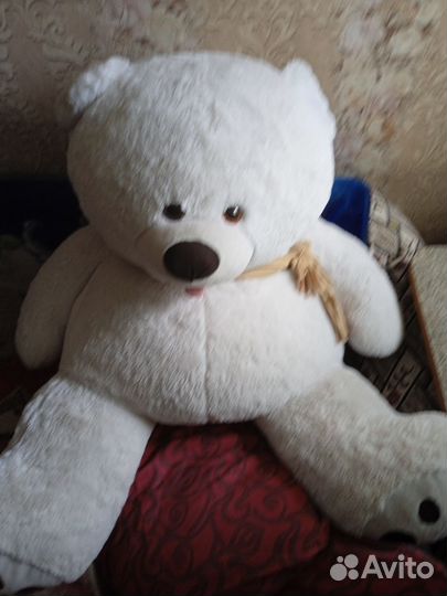 Большоцплюшевый медведь