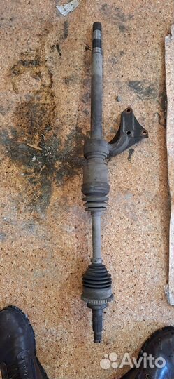 Привод мазда фамилия