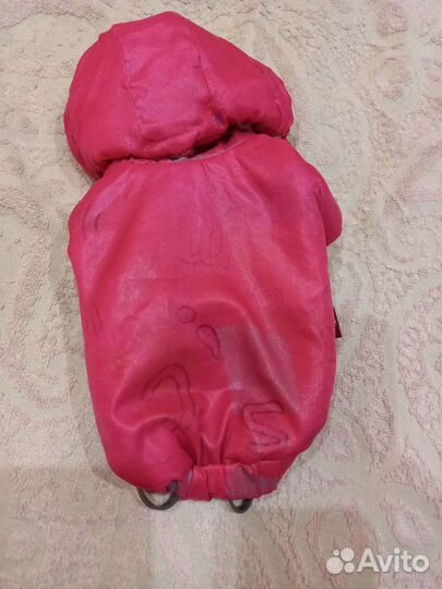 Одежда для мини собаки