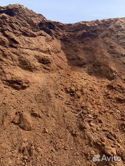 Опилок прелый