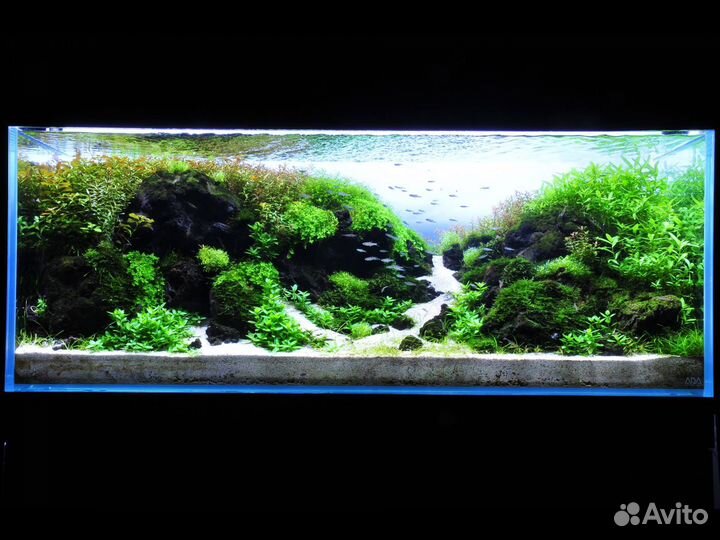 Оформление аквариумов,консультации,коряги