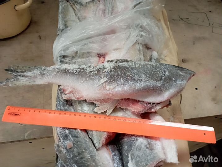 Горбуша свежемороженая