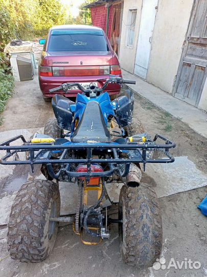 ATV 250 Wasabi