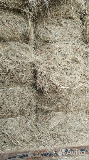 Сено в тюках