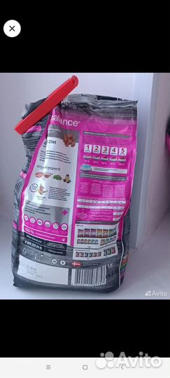 Сухой корм для котят Pro balance