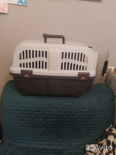 Переноска, воротник, банка для корма