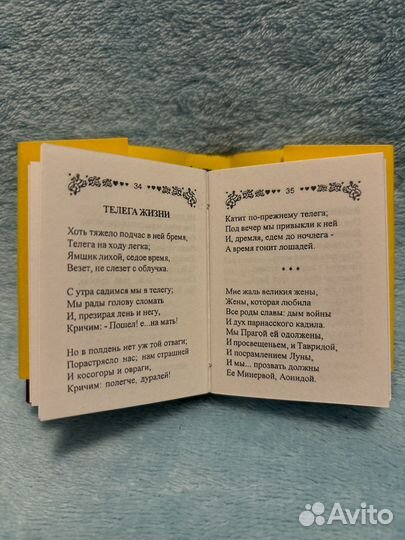 А.С. Пушкин, Стихи не для дам, мини книга