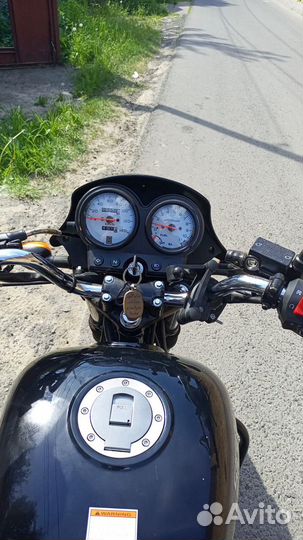 Продам поника