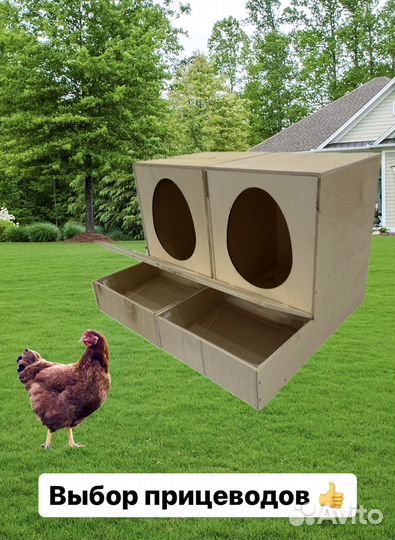 Гнездо для кур с яйцесборником