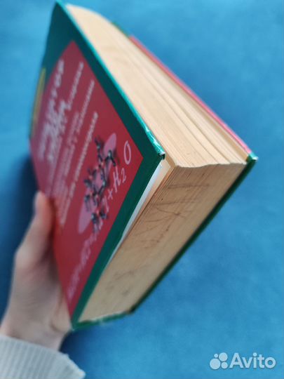 Репетитор по химии, Егоров