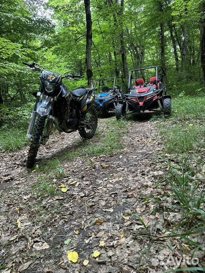 Прокат багги