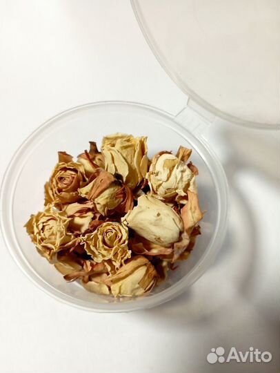 Сухоцветы для творчества