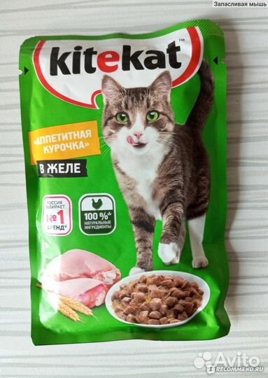 Корм китикет, влажный и сухой