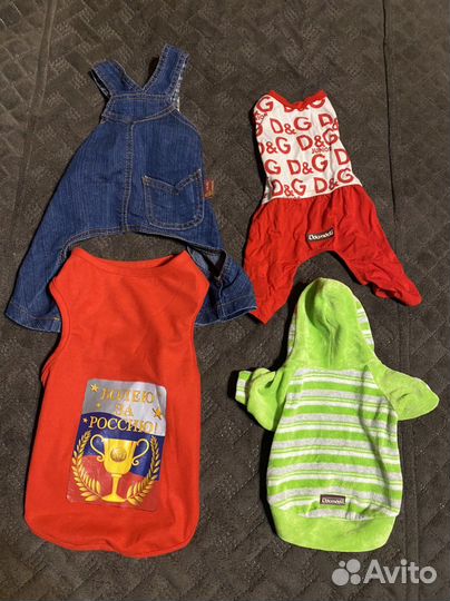 Одежда для маленькой собачки