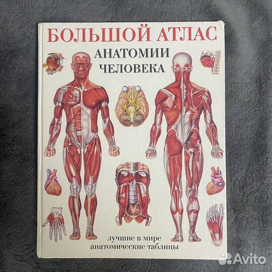 Книги про Анотомию человека