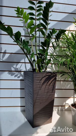 Кашпо Финезия джутто 25/47 цвет мокко