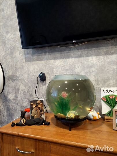 Аквариум с рыбками