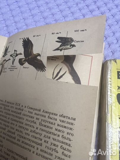 Биология животные 7-8. Книга д/чтения по зоологии