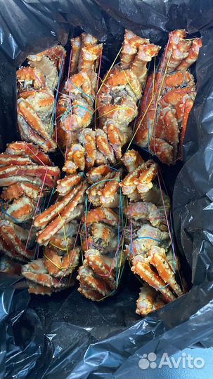 Краб камчатский подарочный