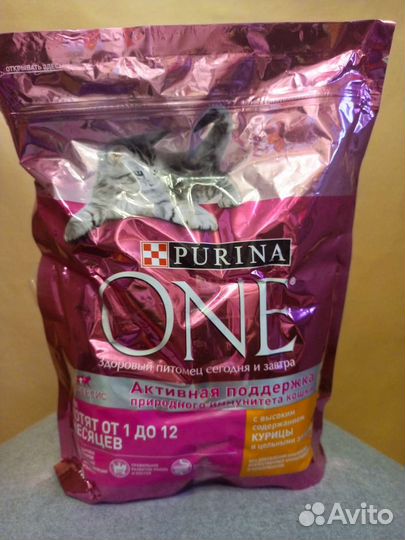 Сухой корм для котят