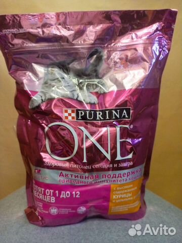 Сухой корм для котят