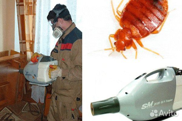 Обработка от клопов и тараканов холодным туманом г