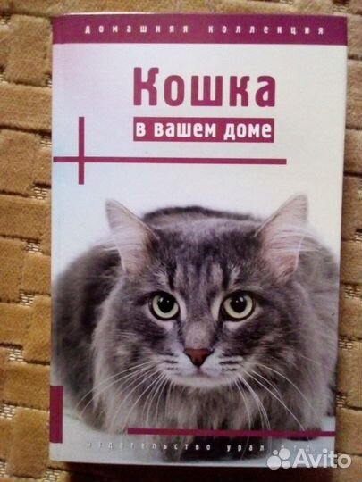 Кошка в вашем доме