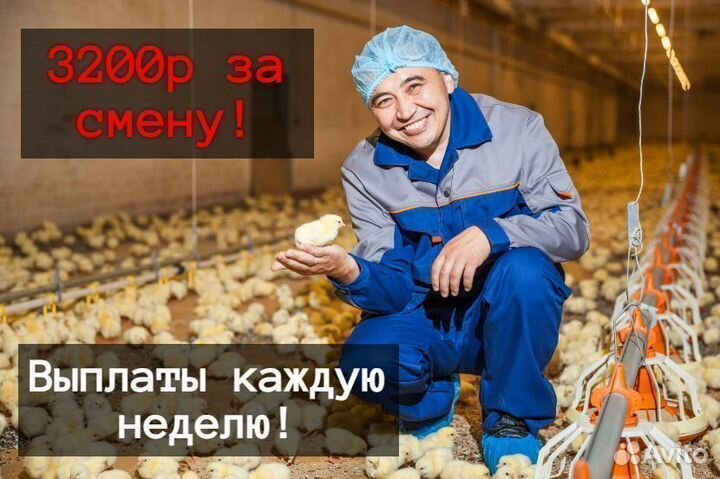 Вахта от 15 смен / Еженедельная оплата / Рабочий