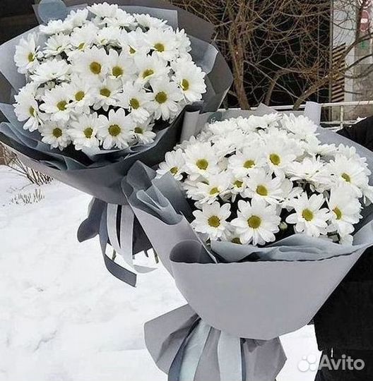 Доставка букетов и цветов. Хризантема