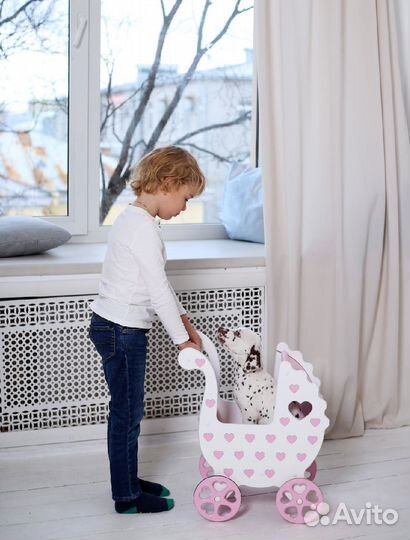 Далматины для фотосессий и праздников