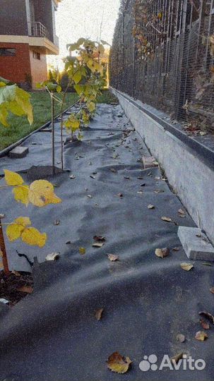 Укладка и продажа газона стандарт