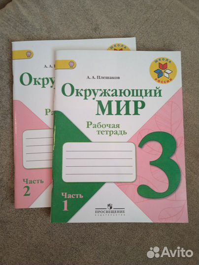 Рабочая тетрадь по Окружающему миру 3 класс