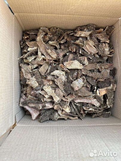 Корм для собак