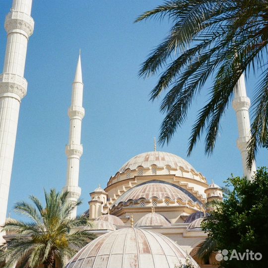 Тур в Стамбул из Москвы