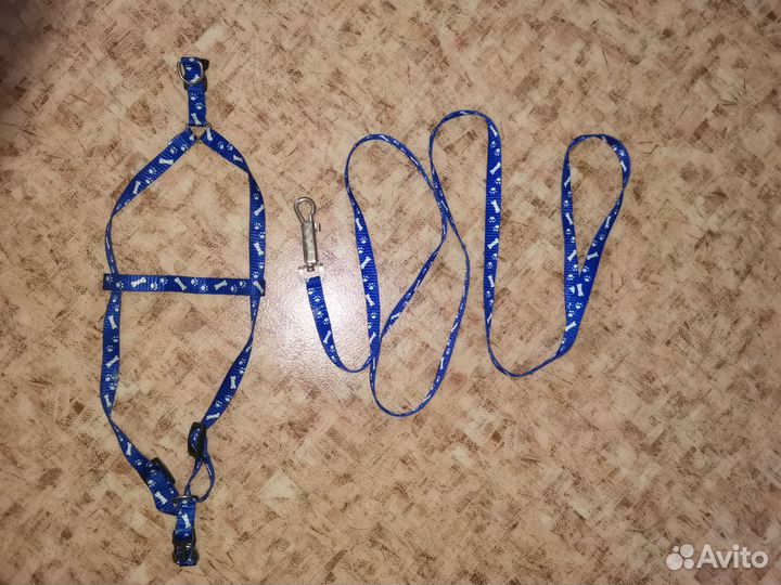 Шлейка для маленькой собаки